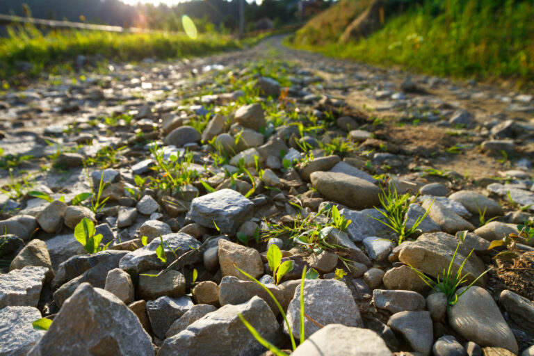 Beautiful view of countryside road. Focus on rocks. Copy space.